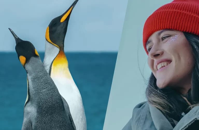 Eine Person mit einer roten Mütze lächelt, während sie zwei Pinguine betrachtet, die am Meer stehen.