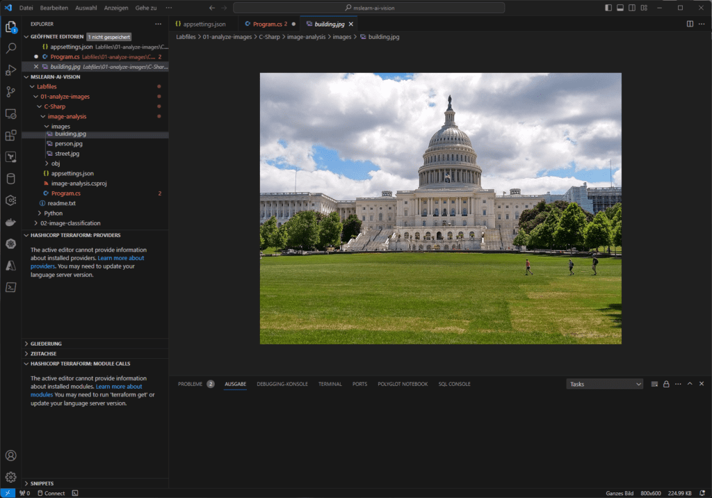 Das zu analysierende Bild in VS Code, Quelle ©Microsoft